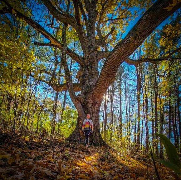 Meet your Posher, Kylee - Picture 1 of 1